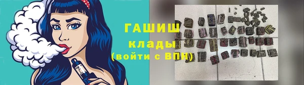 индика Иннополис