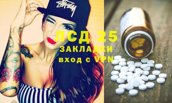 дживик Абаза