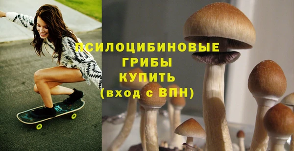 дживик Абаза